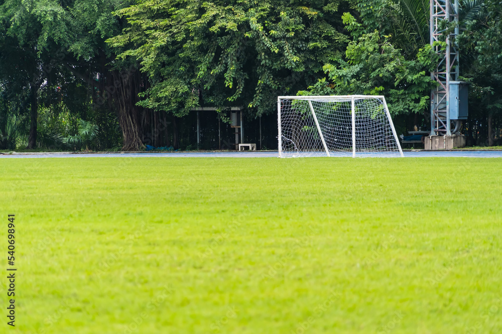 Fototapeta premium Football field with football goal
