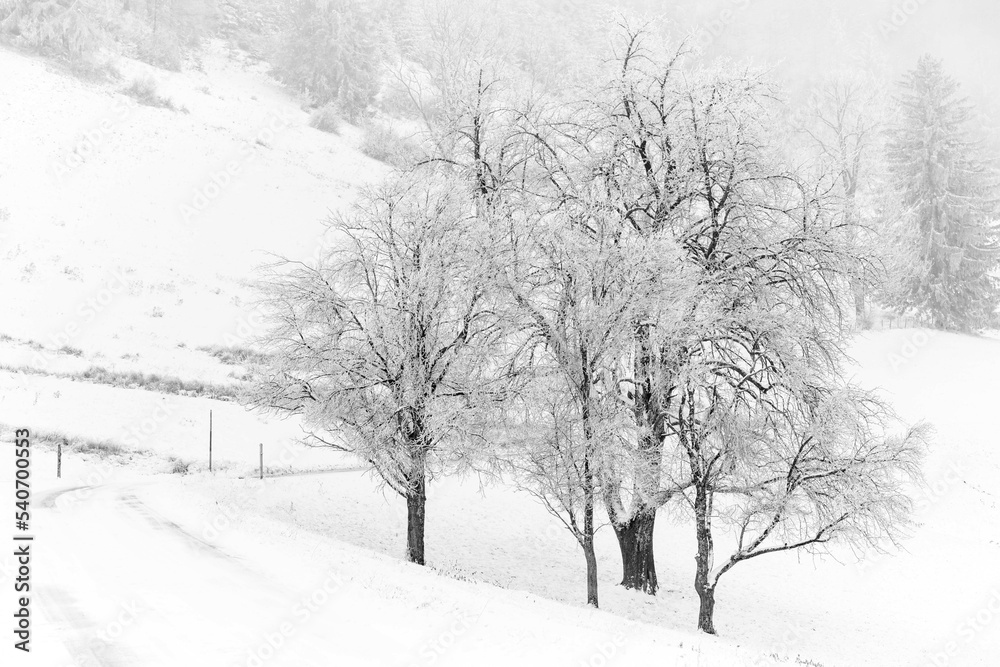 Obraz premium Mostviertel in winter