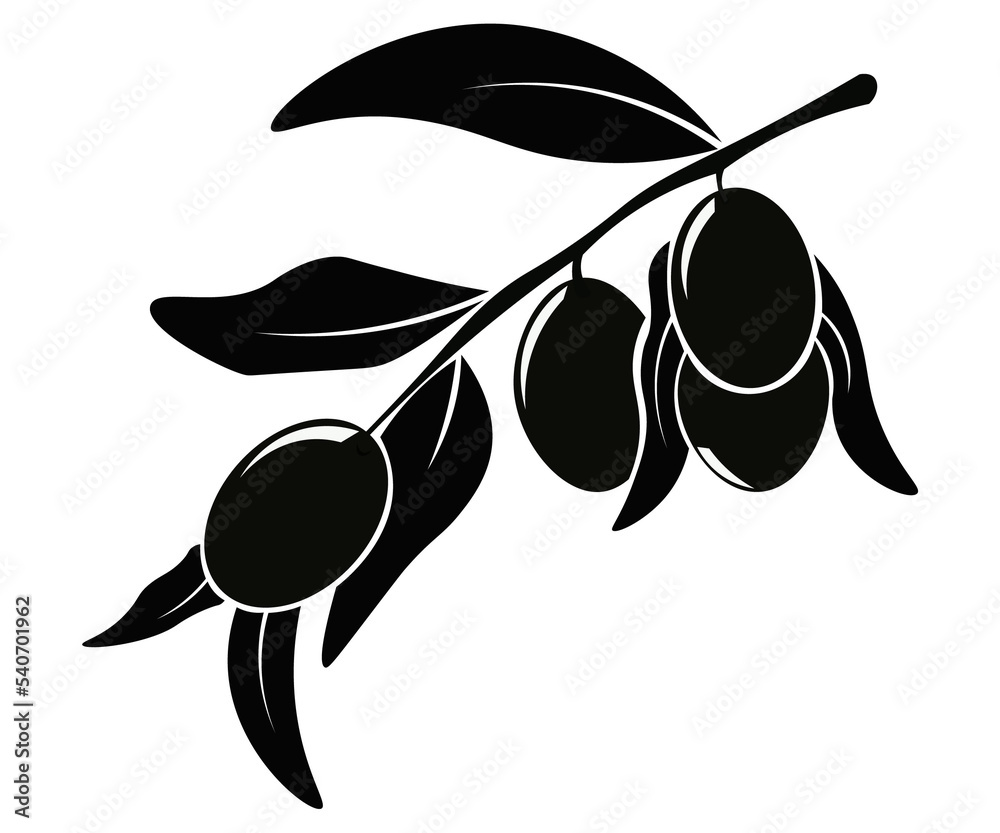 olive branch with olives olive branch with olives