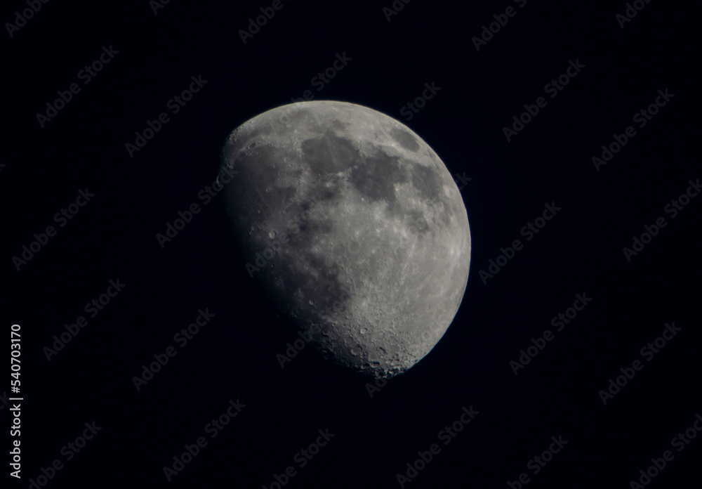 moon moon