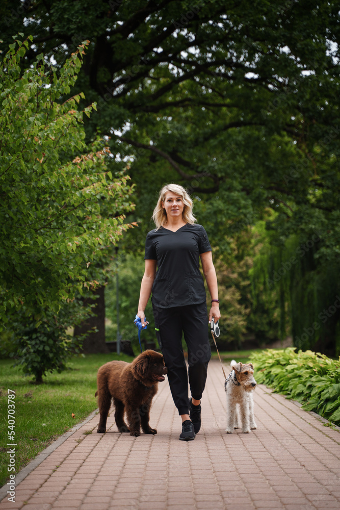Shot of woman walking in park on her weekend with her two pedigreed dogs.