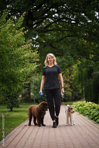 Shot of woman walking in park on her weekend with her two pedigreed dogs. © Fxquadro
