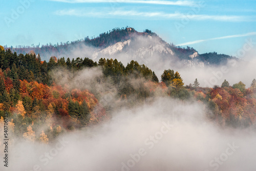 Foggy weather and colorful autumn trees in forest with hill at background