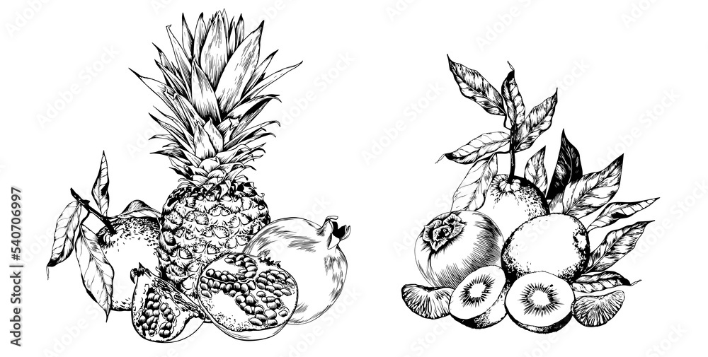 Pineapples, pomegranates, kiwi and sweet fruits arrangement. Black and white hand drawn vector illustration.