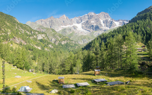 The Punta Gnifetti or Signalkuppe, Parrotspitze, Ludwigshohe, Piramide Vincent peaks from Rifugio Pastore - Valsesia valley. photo