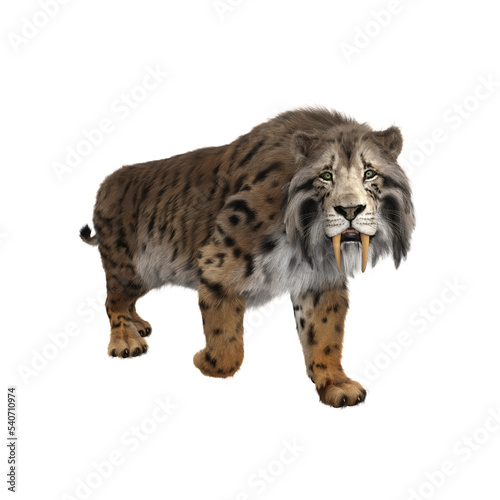 Canvas Print 3D rendering of a Smilodon, the extinct pre-historic Sabre-tooth tiger