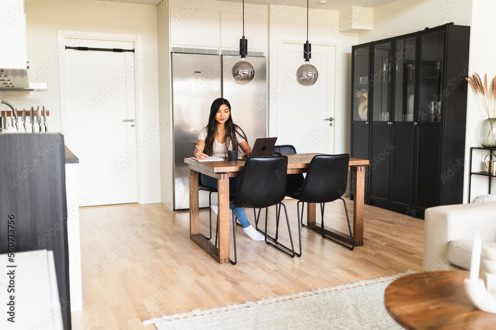 Young businesswoman working on laptop at home Young businesswoman working on laptop at home