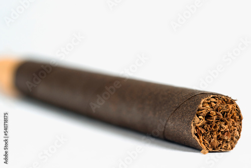 closeup cigar on white background
