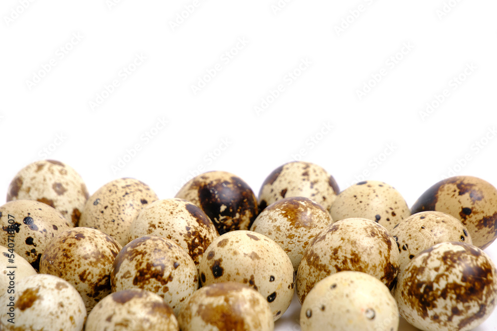 Obraz premium Lots quail eggs white background.