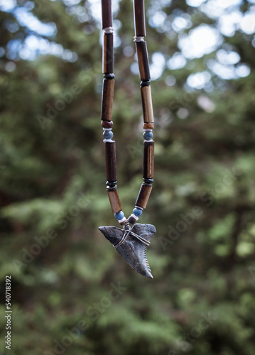 Hanging blue shark tooth necklace with pine green background