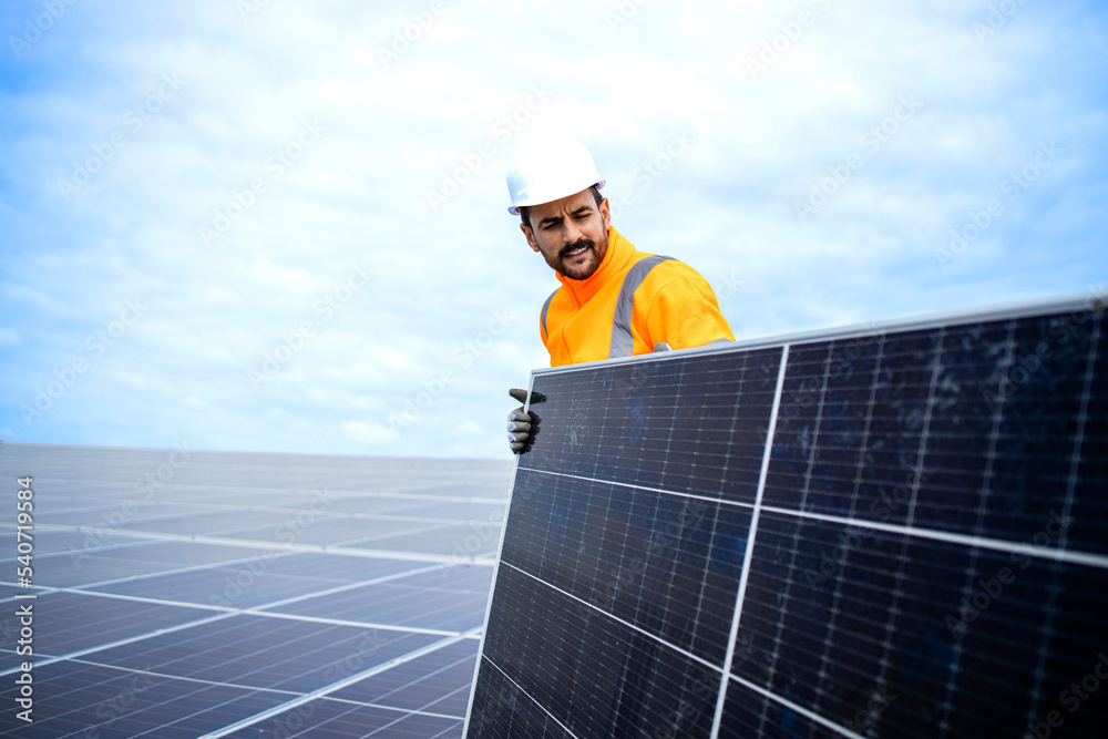 custom made wallpaper toronto digitalExperienced worker installing solar panels for sustainable energy production.