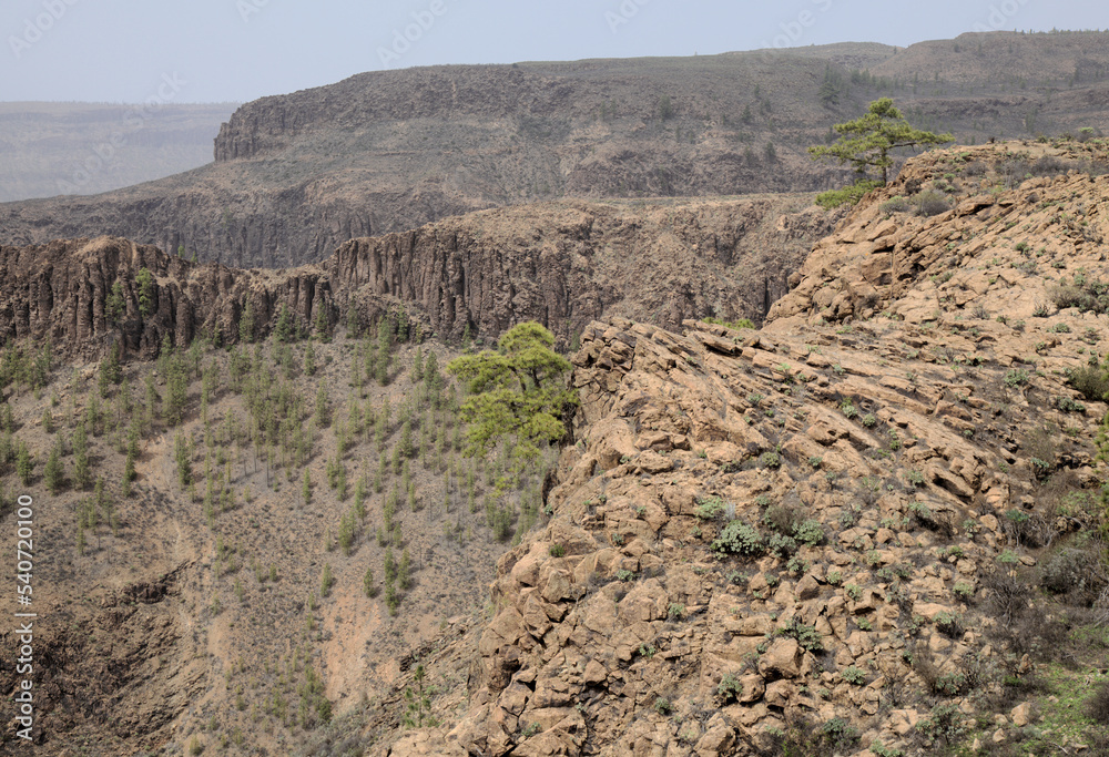 Gran Canaria, landscape of the southern montainous part of the island, hiking route from Cruz Grande to Arteara in
Pilancones Natural Park Gran Canaria, landscape of the southern montainous part of the island, hiking route from Cruz Grande to Arteara in
Pilancones Natural Park