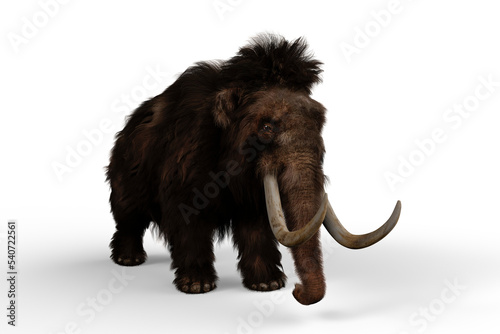 3D illustration of a Woolly Mammoth, the extinct relative of the modern Elephant isolated on a transparent background.