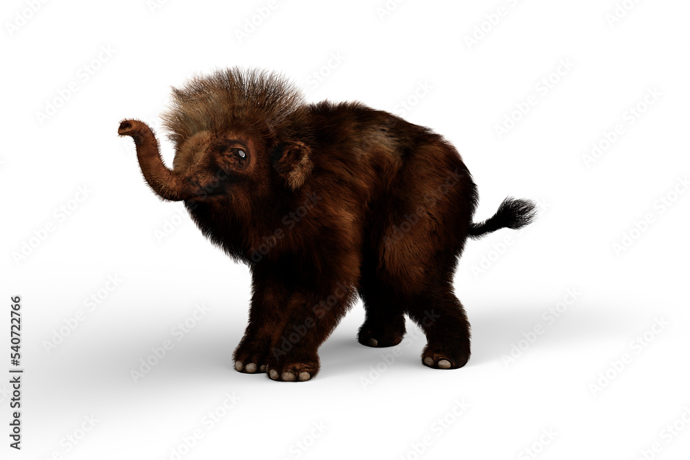 3D illustration of a Woolly Mammoth baby reaching up with trunk isolated on a transparent background. 3D illustration of a Woolly Mammoth baby reaching up with trunk isolated on a transparent background.