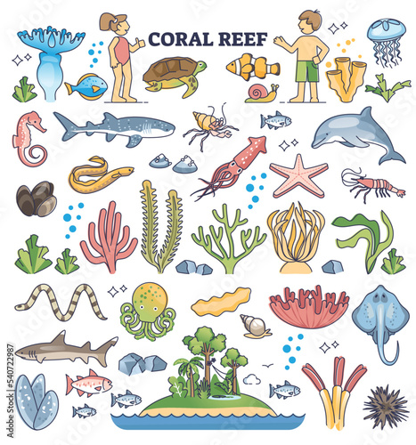 Coral reef kids elements with underwater fauna and flora outline collection set. Ocean and sea nature assets with tropical aquatic animals vector illustration. Exotic water algae and colorful leaves.