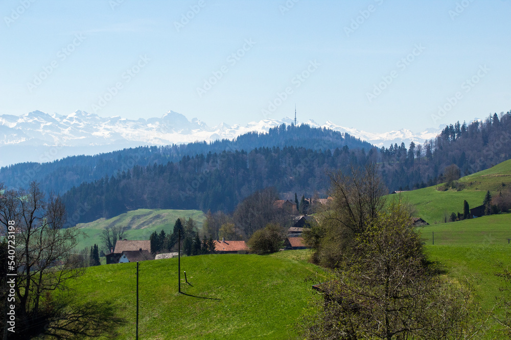Hills and Forests near Zurich and close to the Alps
