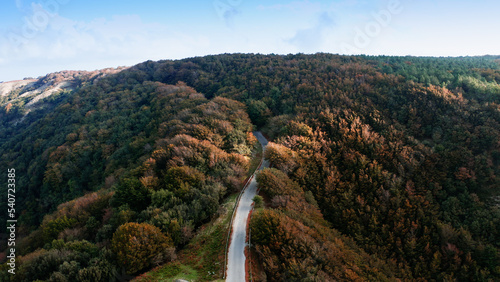Treetops with colorful autumn leaves in the mountain. Aspromonte Calabria.