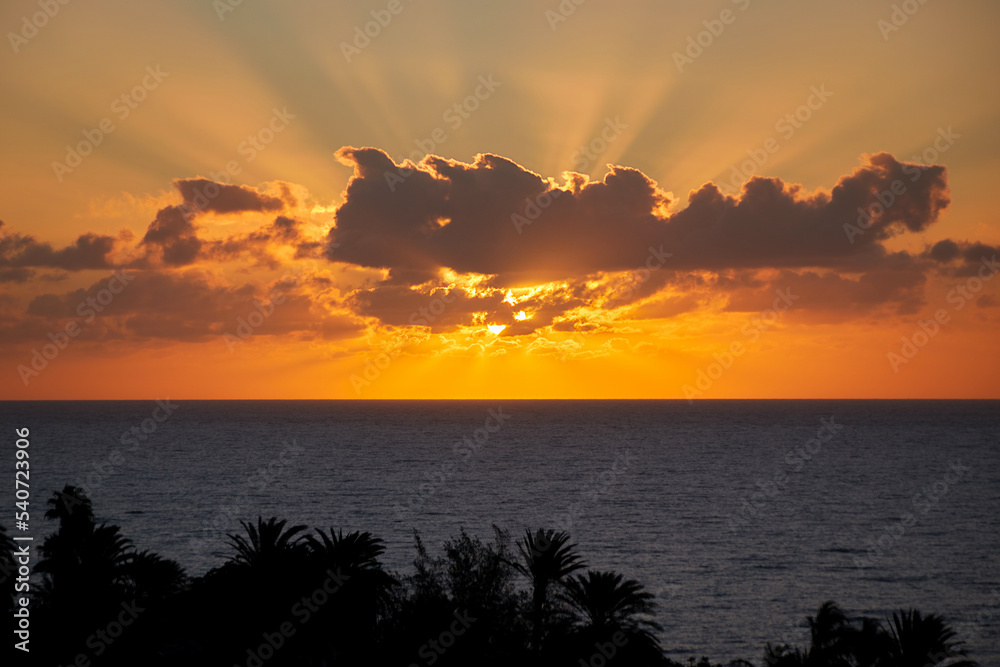 the beautiful sun behind clouds rises brilliantly over the Atlantic Ocean in the early morning with palm silhouettes in foreground