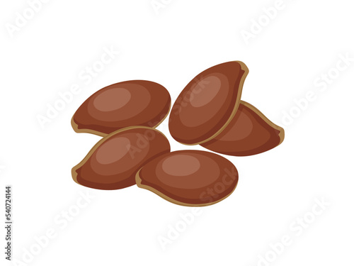 Vector illustration of flaxseed, brown flaxseed, healthy vegetarian food, isolated on a white background.