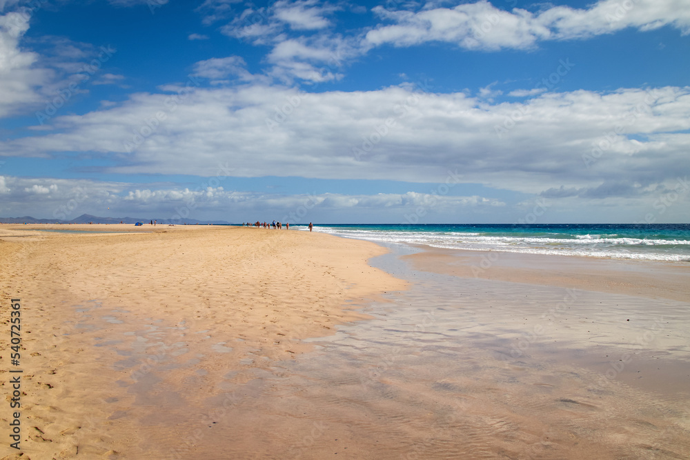 the wide, fine, flat sandy beach of Jandia in the south of Fuerteventura, Canary Islands, Spain