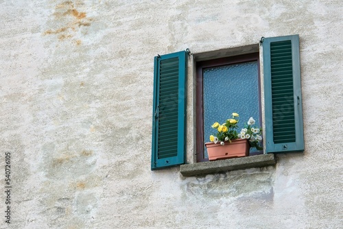 window with flowers