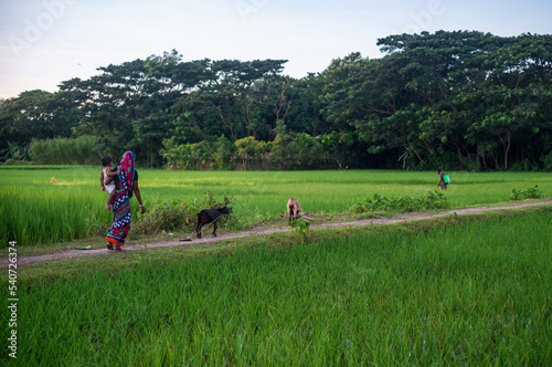 Village woman carrying her child and their household animal through a green field 