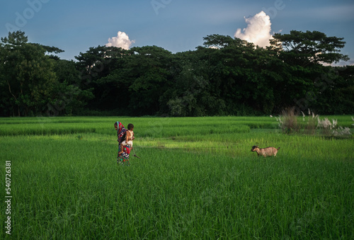 Village woman carrying her child and their household animal through a green field 