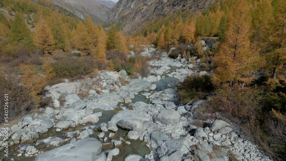 Aerial shot of a beautiful valley in the mountains of Switzerland with trees in autumn colors. Golden trees and a creek flowing down the mountain Aerial shot of a beautiful valley in the mountains of Switzerland with trees in autumn colors. Golden trees and a creek flowing down the mountain