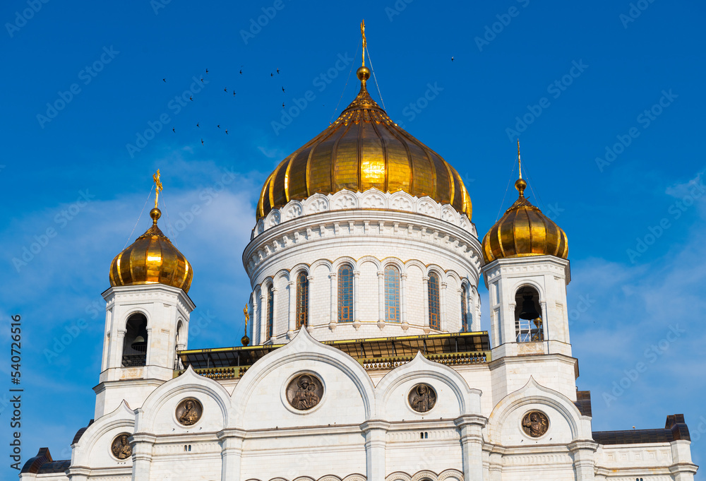 Domes of the Cathedral of Christ the Saviour and flock of birds. Sunny summer morning. Moscow. Russia