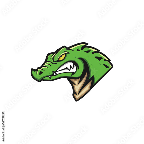 vector illustration of a crocodile