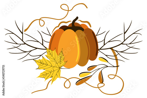 Vector isolated autumnal leaves, pumpkin and branches. Maple. Warm colors. Concept of late autumn.