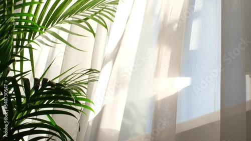 transparent curtain on the window, gently moved by the wind. sunlight. sun's rays shine through the transparent tulle