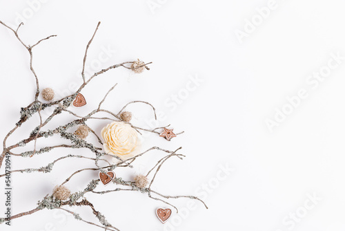 Christmas, New Year, Autumn background, flat lay natural ornaments and branches