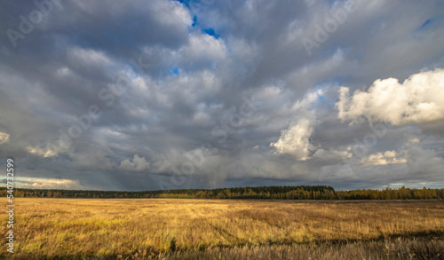 Dramatic sky over the horizon. Autumn landscape  the sun s rays illuminate the field and forest. Bright autumn evening.
