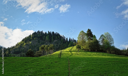 Zielone góry w Pieninach. © Adam Sadlak