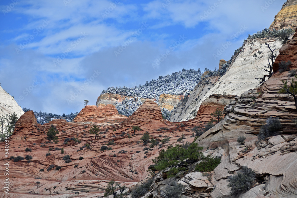 Snow Capped Mountains in Background of Red Rocks