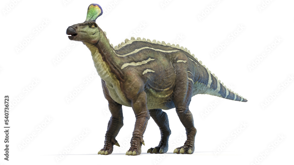 dinosaur illustration dinosaur illustration