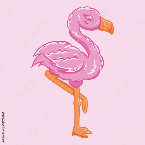 Cute pink flamingo vector illustration