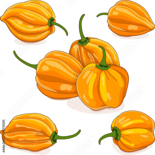Group of yellow habanero chili peppers. Capsicum chinense. Hot chili pepper. Fresh organic vegetables. Cartoon style. Vector illustration isolated on white background.