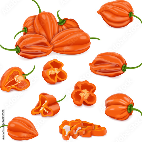 Set with whole, half, quarter, slices, and wedges of orange habanero chili peppers. Capsicum chinense. Hot chili pepper. Fresh organic vegetables. Vector illustration isolated on white background.