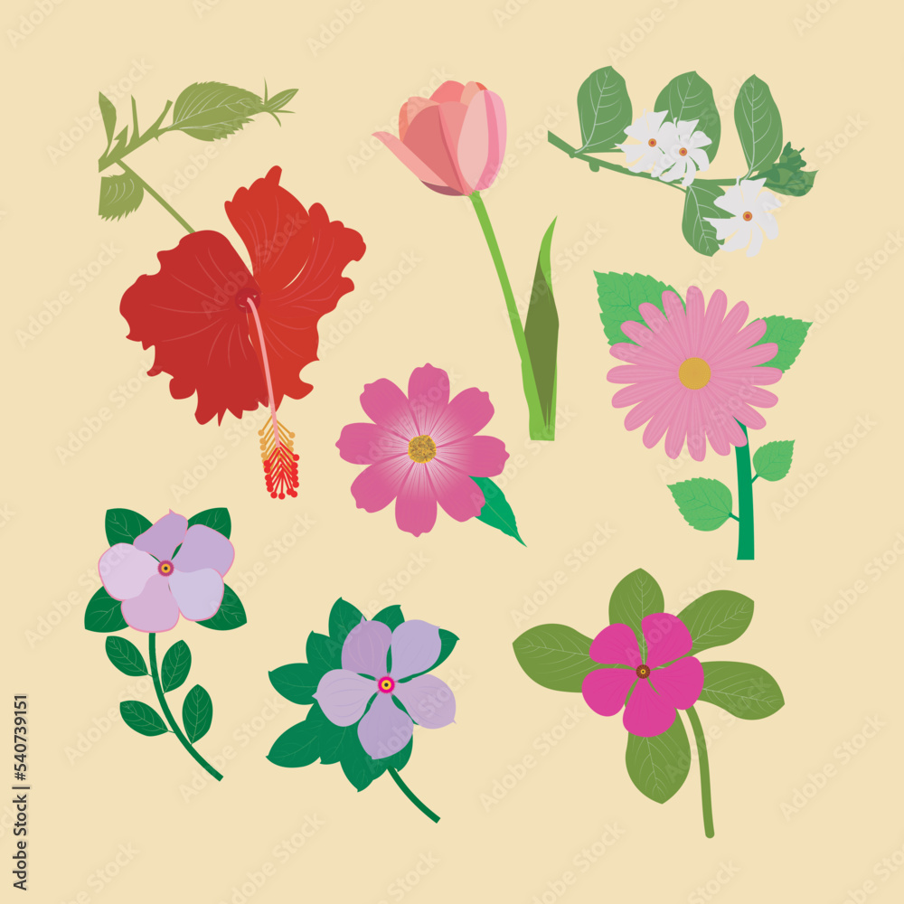 Beautiful Flowers Vector Artwork & illustration. This is an eps file.