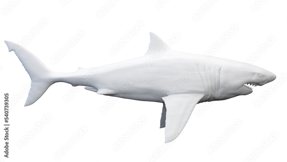 Fototapeta premium shark