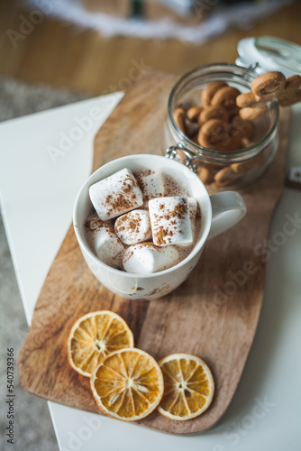 Hot cup of cocoa with marshmallows and gingerbread cookies. Christmas eco decorations. New Year. Winter holidays, gifts.