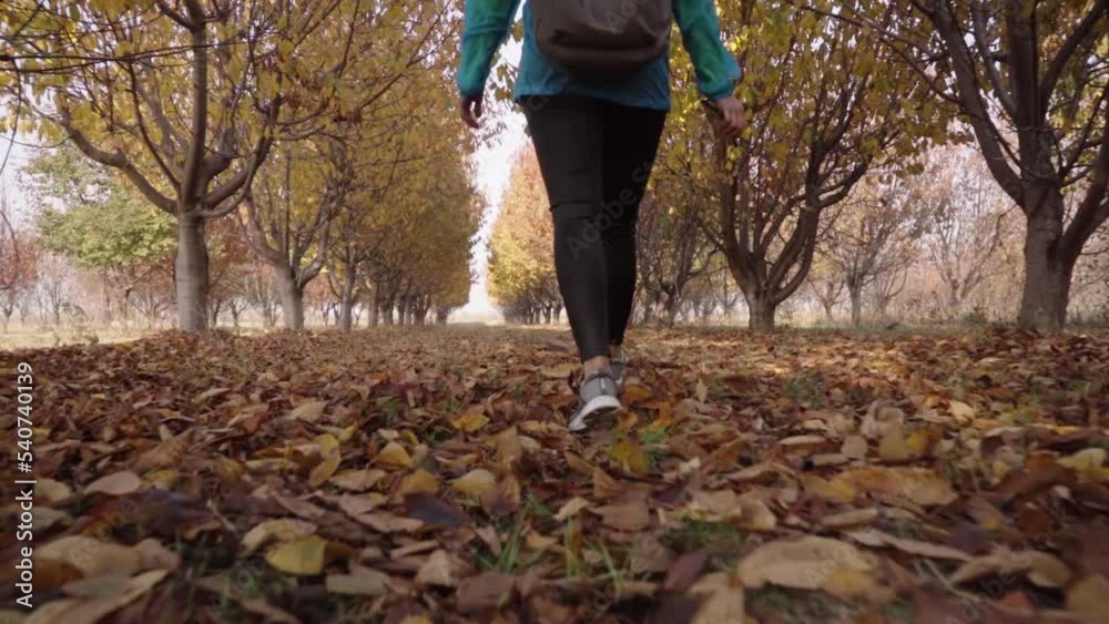 girl athlete walks through the autumn garden girl athlete walks through the autumn garden