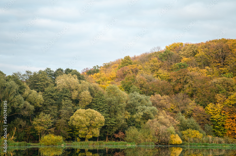 Autumn landscape with a forest over a lake, natural background.