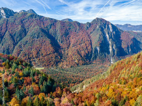 Colorful beech forest in Logar valley, Slovenia