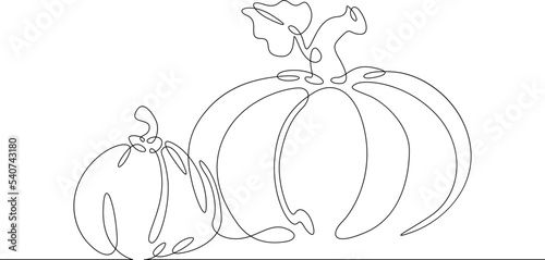 One continuous line. Holiday symbol. Pumpkin. Thanksgiving Day. Halloween. One continuous line on a white background.
