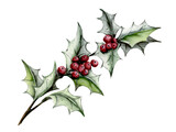 Holly watercolor illustration on white background. Hand painting winter holiday design.