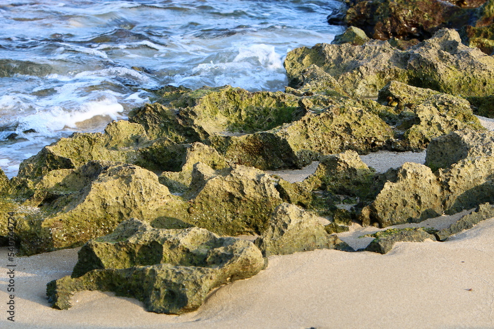 Texture of large stones and mountain rocks. Texture of large stones and mountain rocks.
