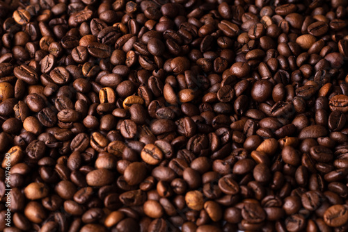 Close-up photos of coffee beans from above 
